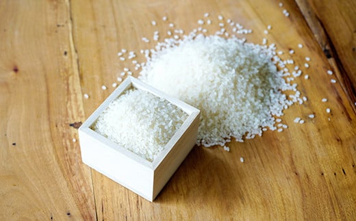 【令和8年産】きぬむすめ15kg（新米収穫後の10月以降発送）