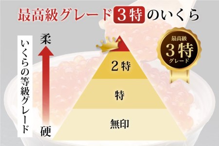 【TVで紹介！】定期便 4回 最高級3特 国産 味付 いくら 宝壽 醤油漬 500g×4回(2・5・8・11月出荷) 総計2kg / かわむら家 / 宮城県 気仙沼市 [20561833]