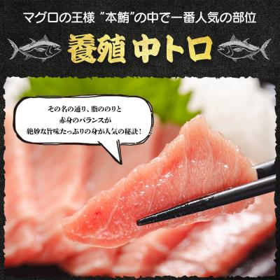 ふるさと納税 香南市 本まぐろ 中トロ 約500g 2冊 養殖 本鮪 ブロック oo-0002 |  | 01