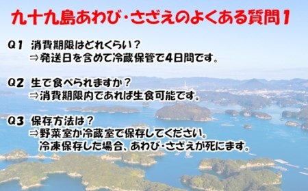 【レビュー★4.9】九十九島  活あわび600g･さざえ600g セット 生食可！【総計1.2kg】【つくも】 あわび 九十九島あわび 活あわび 人気あわび 高評価あわび あわびおすすめ 贈答あわび 