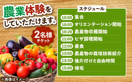農業体験チケット2名様分【1134360】