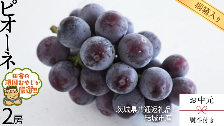 
            【 お中元 熨斗 付 】【 桐箱入り 】 ピオーネ2房  【2025年8月より発送開始】（茨城県共通返礼品 [ぶどう]：結城市産） ピオーネ ぶどう 果物 フルーツ 季節 旬
          