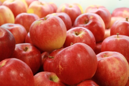 【2025年11月後半発送】 りんご 青森産 約5kg 品種おまかせ2種以上 贈答用 特選～特秀