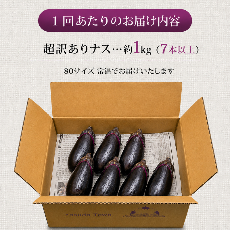 【先行受付】 【2回定期便】 安田町産 「超」 訳あり ナス なす なすび 1kg  新鮮 野菜 茄子 産地直送 季節限定 夏野菜 ふるさと納税茄子  ふるさと納税なすお漬物 漬物 味噌汁 みそ汁 マーボーナス 麻婆ナス 麻婆茄子 煮びたし 天ぷら フライ はさみ揚げ 煮浸し 焼なす やきなす 焼きナス 南蛮漬け わけあり 傷 きず 不揃い B級品 伏流水 高知 安田町 安田川 清流 YM-1000