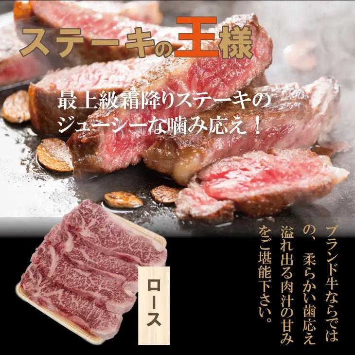 佐賀牛 ステーキ・スライスセット（3,000g） ステーキ 牛肉 すき焼き F100-002