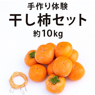 
            柳フルーツ園の干し柿セット 約10kg＜2025年秋冬配送＞【1457279】
          