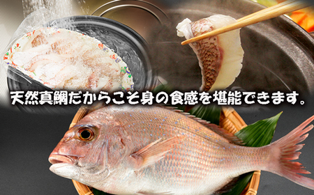 みんなで食べ鯛！！鯛しゃぶたっぷり4人前600g（150g×4パック）天然鯛だしパック付き[F0109]