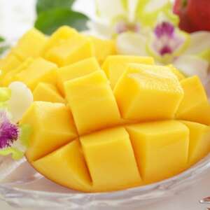 【2026年7月から順次発送・家庭用】内間マンゴー園のアーウィンマンゴー2kg(4～6玉)【配送不可地域：離島】【1695324】