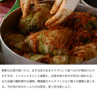 ふるさと納税 瀬戸内市 瀬戸内牛窓産 白菜 約15kg(5〜6玉)[No.5735-1029] |  | 03