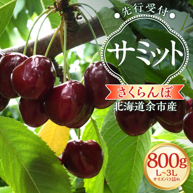 【ふるさと納税】【2027年産 先行予約】＜北海道余市産＞さくらんぼ「サミット」（L～3Lサイズバラ詰め）400g × 2パック 800g【 北海道アグリドリーム 】チェリー フルーツ 先行予約 果物 期間限定 季節限定 北海道 余市町 送料無料