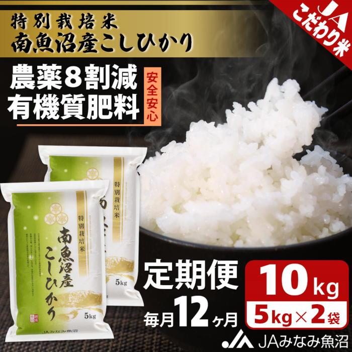 【ふるさと納税】【JAみなみ魚沼定期便】特別栽培米南魚沼産こしひかり8割減（10kg×全12回）精米 農薬8割削減 有機肥料 精米HACCP認定工場 特A獲得日本一産地 高品質精米 もっちり甘い 南魚沼産コシヒカリ | お米 こめ 白米 食品 人気 おすすめ 南魚沼 南魚沼市 新潟県 精米