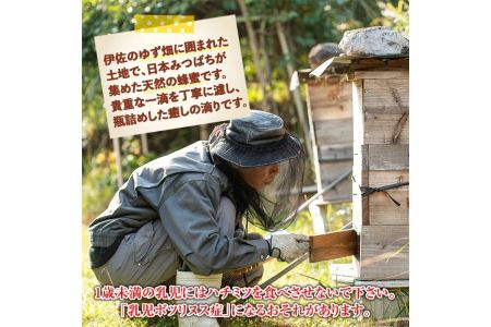 C0-05 ＜数量限定＞伊佐の垂らし蜜(600g・200g×3個) 野生種日本ミツバチが集めた貴重な蜂蜜！ゆず畑に囲まれた地域で採れた爽やかな味わいのハチミツ【ゆず香房】