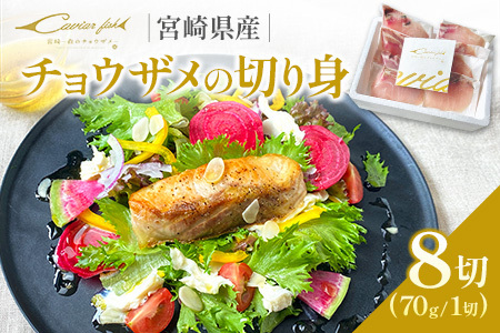 チョウザメ 切り身 70g×8P 魚 B687