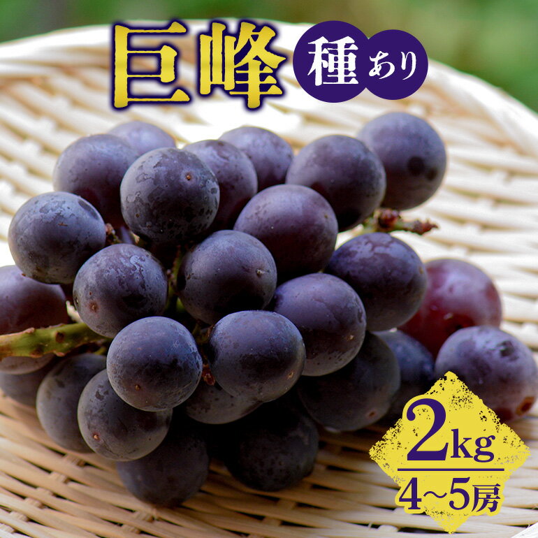 【ふるさと納税】【 2025年 先行予約 】 巨峰 2kg （ 種あり ） 久家ぶどう園 4房 〜 5房 ぶどう ブドウ 有機 肥料 ハウス 栽培 国産 果物 くだもの 葡萄 フルーツ 2キロ 8月 発送 夏 旬 品種 茨城県産 産地直送 産直 農家直送 冷蔵 茨城県 石岡市 送料無料 (G171)