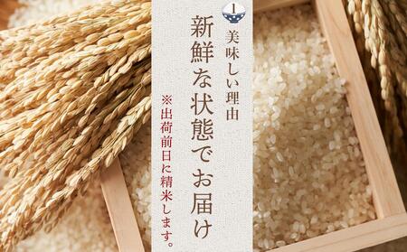 【新米】【令和6年産】 福岡県産 米 夢つくし 15kg セット ( 5kg×3袋 )