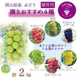 岡山　花笑み農園の『園主おすすめぶどう4種セット』(4房)贈答用　4M-2R上【9月下旬～順次発送】【配送不可地域：離島・北海道・沖縄県】【1626794】