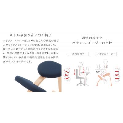 ふるさと納税 美濃市 バランス イージー ショートフレーム バランスチェア 学習椅子 日本製 [ブラック] |  | 01