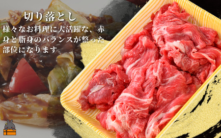 40代からの赤身を極めた鹿児島黒毛和牛切り落とし300g ( 厳選 赤身 プレミアム 高品質 鹿児島黒毛和牛 黒毛和牛 牛肉 万能 料理 徳之島 奄美 鹿児島 すき焼き しゃぶしゃぶ 高島屋 )