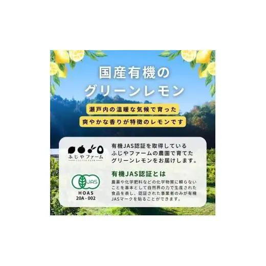 グリーンレモン 約1kg 【2026年 10月 ～ 11月 発送】 先行予約