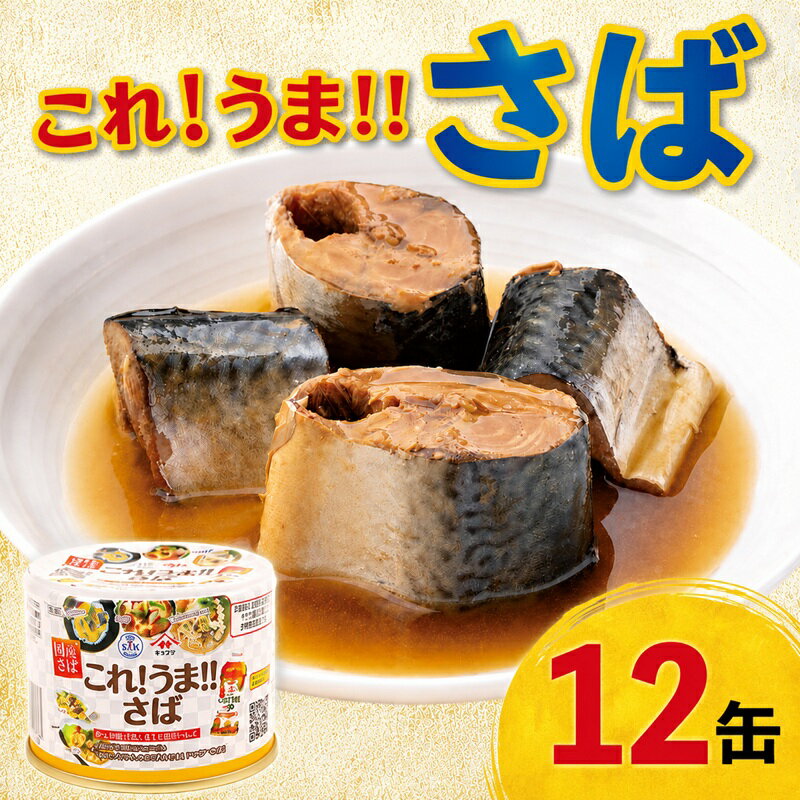 【ふるさと納税】 これ！！うま！！つゆ 使用 さば味付け缶 12缶セット さば 鯖 缶詰 詰め合わせ 缶詰め 缶詰めセット 常温 常温食品 つゆ ヤマサ 醤油 魚 魚貝 魚介 簡単 手軽 海鮮 非常食 常温食 備蓄 ふるさと納税 ふるさと納税缶詰 送料無料 千葉県 銚子市 信田缶詰