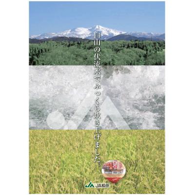 ふるさと納税 白山市 ふっくらもちもち「あずきちゃんの赤飯」　パック赤飯(160g×12パック) |  | 03