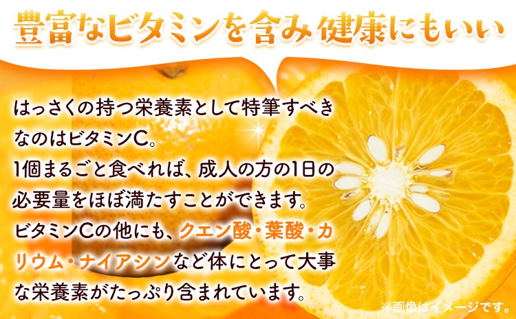 ＜1月より発送＞ご家庭用 訳あり はっさく 八朔 みかん 2.5kg+250g（傷み補償） 池田鹿蔵農園 日高町《2026年1月上旬-3月末頃出荷》和歌山県 日高町 送料無料 はっさくみかん 八朔 訳ありはっさく【配送不可地域あり】---wsh_idn317_1j3m_25_8000_2500g---