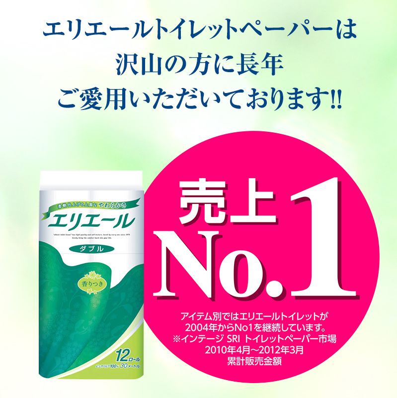 定期便 2ヵ月連続お届け エリエール [アソートB] トイレットペーパー ティッシュ トイレ ボックスティッシュ まとめ買い ペーパー ひとり暮らし 紙 防災 常備品 備蓄品 消耗品 備蓄 日用品 生