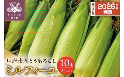 〈2025年度発送分〉甲府市産もろこし（品種：ミルフィーユ）２Lサイズ　10本入