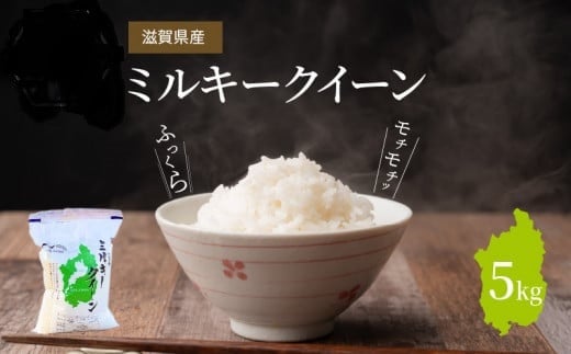 
令和６年産　滋賀県産ミルキークイーン 5kg　 低アミロース米 粘りが強い モチモチ ふっくら 食感 冷めても硬くなりにくい 国産 食品 お米 白米 ごはん おにぎり お弁当 なかじま夢農場 滋賀県 守山市
