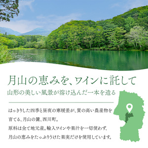 FYN6-229 赤ワイン 月山山麓 ワイン 360ml 赤ワイン