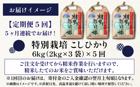 【令和5年産】【5ヶ月定期便】ベストファーマー ほたるの里 特別栽培こしひかり 6kg（2kg×3） × 5回 計30kg 化学肥料不使用 農薬70％以上カット[E-002002]