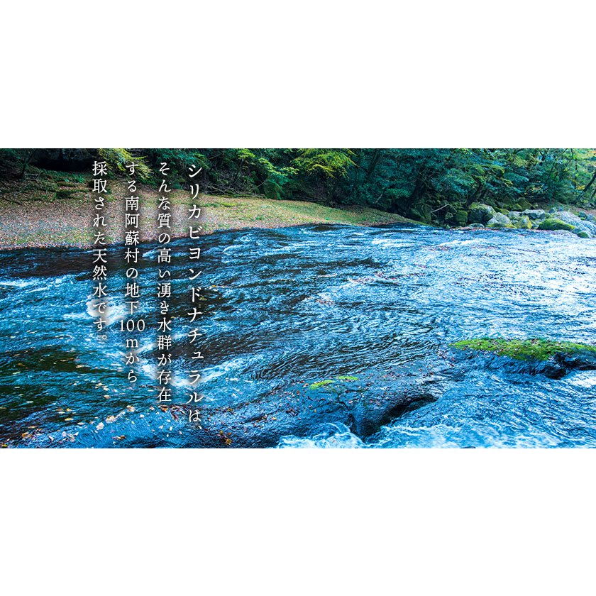 シリカビヨンドナチュラルラベルレス330ml×30本入 ルーシッド株式会社 《90日以内に出荷予定(土日祝除く)》水 ---sms_rusidrabel_90d_21_18000_30i---