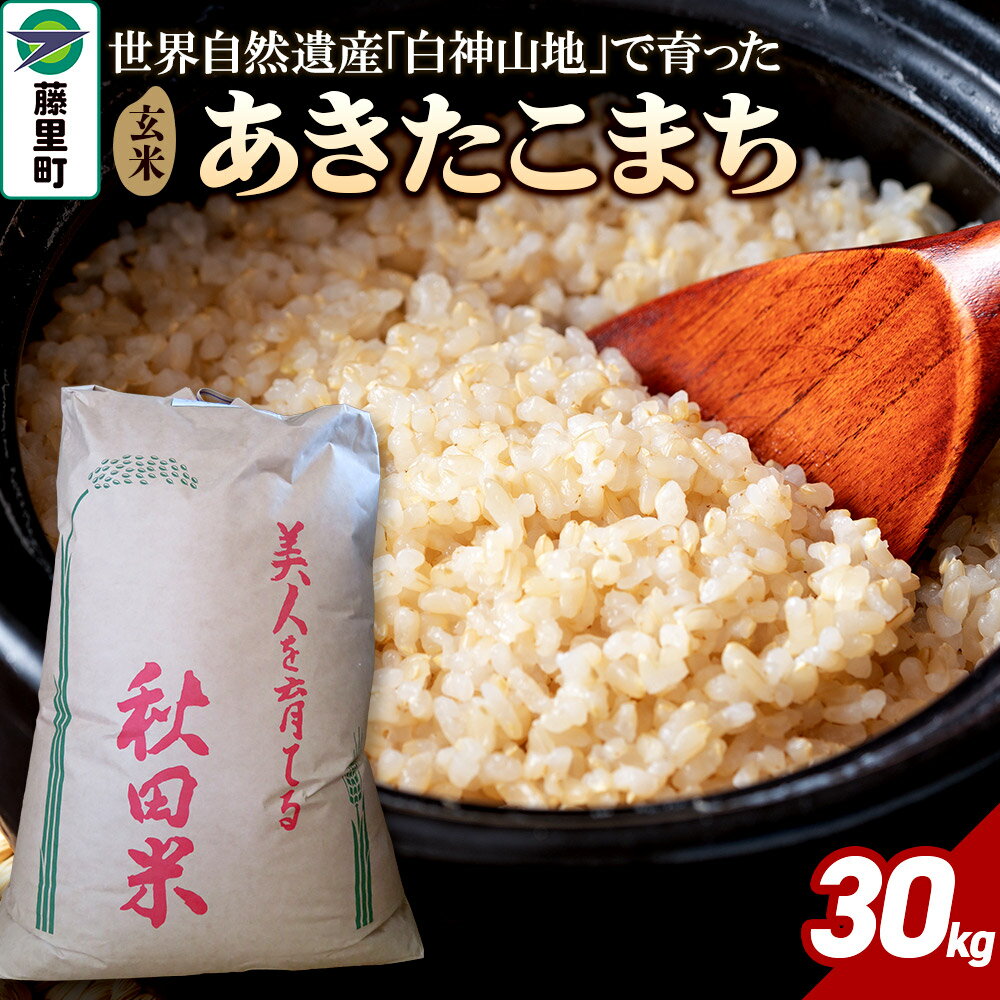 【ふるさと納税】米 令和7年産 あきたこまち【玄米】30kg