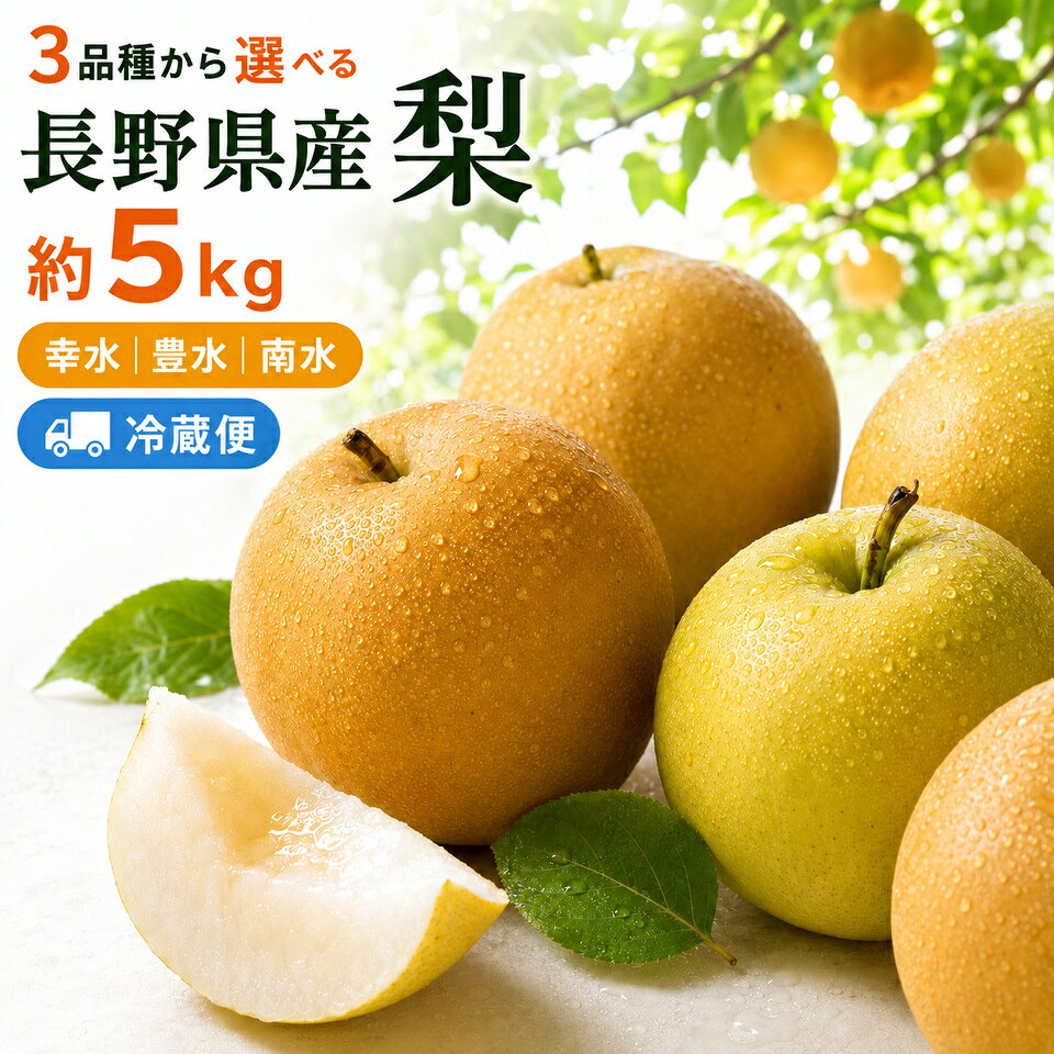 【ふるさと納税】【選べる品種】長野県産 梨 約5kg ｜ 幸水 豊水 南水（10～14玉） ｜ 梨 なし 果物 果汁 農家 甘い シャリ感 自然 ビタミン 地元 新鮮 ジューシー 長野県 松本市
