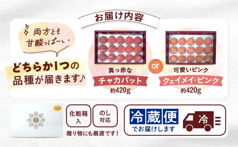 【先行予約/数量限定】希少 国産 綾生ライチ（化粧箱入り） 宮崎県 綾町産 ライチ 贈答 ギフト プレゼント 国産ライチ 果物 フルーツ 生ライチ 産地直送 期間限定 送料無料 お中元【JA綾町】_A