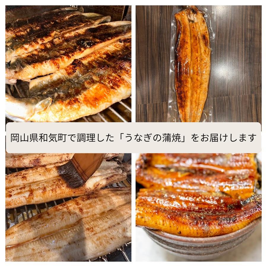 
                  AC-36　うなぎの蒲焼　１尾（約230g）
                