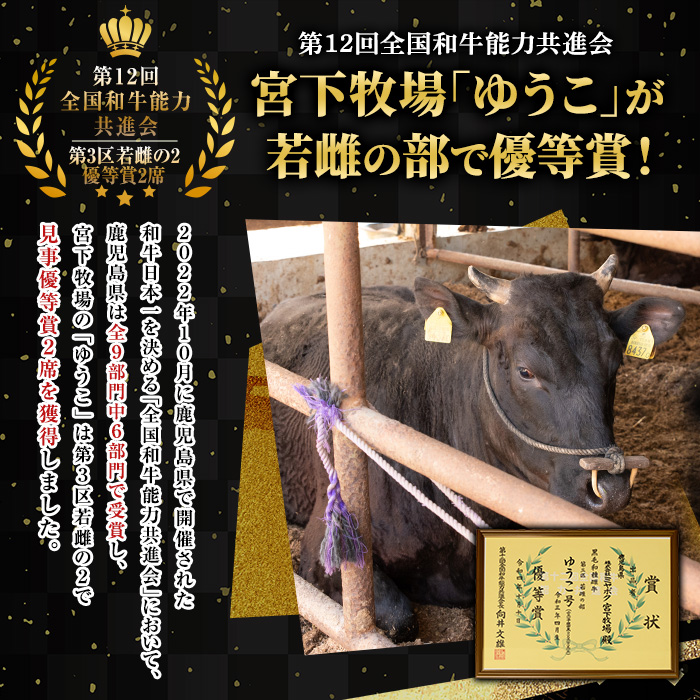 No.608 鹿児島県産黒毛和牛赤身焼肉用(計800g・400g×2P※モモもしくはカタ焼肉用) 【さつま屋産業】