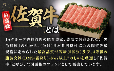 ＜さっぱりと♪＞とっておきのお肉を！佐賀牛モモスライス約500g 佐賀県/さが風土館季楽[41AABE017]