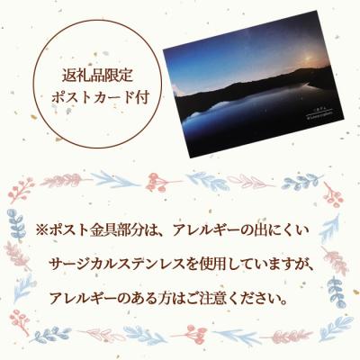 ふるさと納税 天城町 鹿児島県 天城町 土星ピアス 水晶 両耳用 1個  天然石ビーズ パワーストーン 幅2cm |  | 02