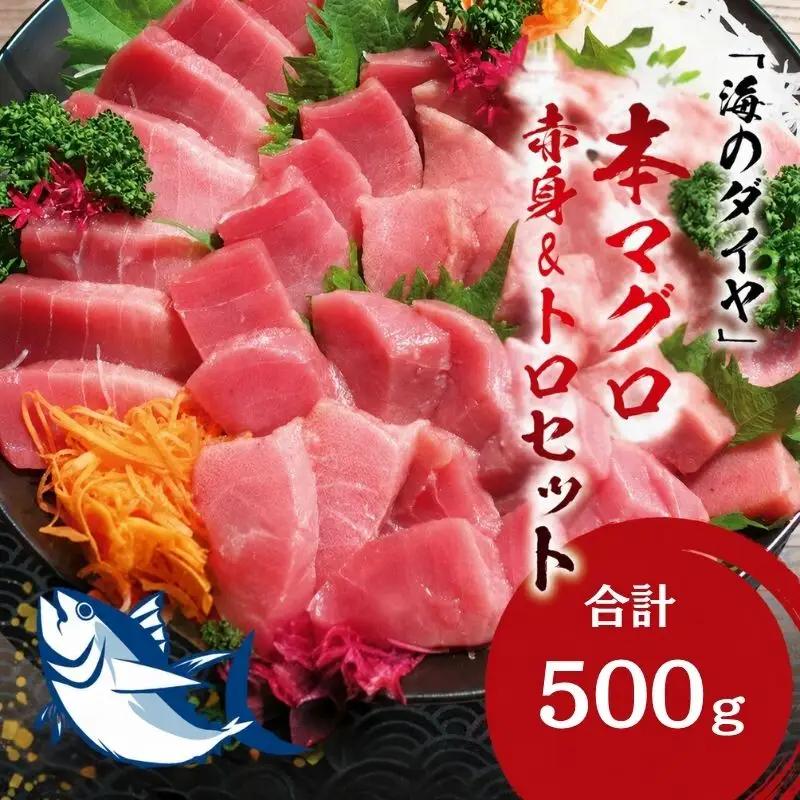 本マグロ（養殖）トロ＆赤身セット 500g 【1ヶ月以内に発送】 高級 クロマグロ  中トロ 中とろ  まぐろ マグロ 鮪 刺身 赤身 柵 じゃばらまぐろ 本マグロ 本鮪【nks110D】