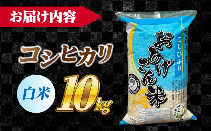 お米 10kg 10キロ 白米 精米 愛知県産 国産米 コシヒカリ 国産