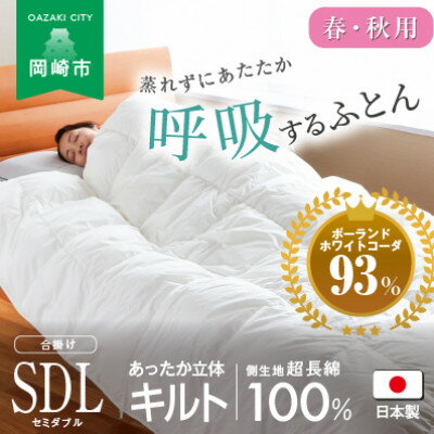 【ふるさと納税】[春・秋用]究極に軽く、蒸れない羽毛ふとん (セミダブルロングサイズ)170×210cm(PWC)【1640435】