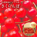 【ふるさと納税】【先行予約】山梨県南アルプス市産　さくらんぼ　約500g〈出荷時期:2025年5月～2025年6月発送〉【内祝い 内祝 お祝い 御祝い 御祝 お礼 御礼 プレゼント ギフト 贈り物 お歳暮 お中元 フルーツギフト 山梨県 南アルプス市 】