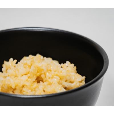 ふるさと納税 南陽市 山形つや姫玄米パックご飯　150g×24P　〜栽培期間中　農薬・化学肥料不使用〜【S1776】 |  | 03
