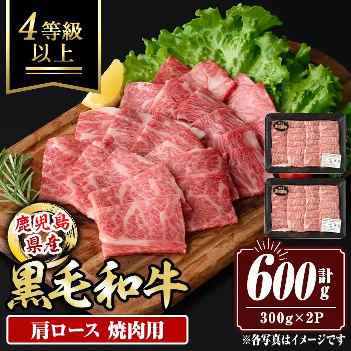 isa881 鹿児島県産黒毛和牛 肩ロース焼肉用(計600g・300g×2P) 4等級以上！ 国産 牛肉 霜降り 国産 牛肉 霜降り 家庭用 冷凍 【サンキョーミート株式会社】
