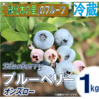 【ふるさと納税】【先行予約/冷蔵】ブルーベリー1kg(オンズロー)【配送不可地域：離島・沖縄県】【1608658】
