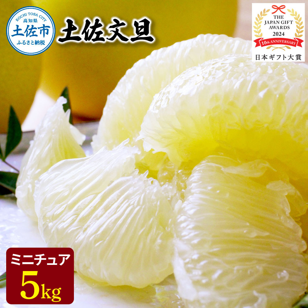 
                  【日本ギフト大賞2024受賞】園主こだわりミニチュア土佐文旦ぶんたん 5kg 15~20玉〈2027年1月中旬から4月下旬発送〉 超小玉土佐文旦 ブンタン フルーツ 柑橘 みかん 果物 柑橘類 デザート プレゼント 高知県 土佐市【やの一果彩】[BQAC026]
                