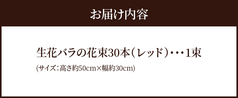 【ラッピング付】生花 レッド バラの花束 30本 日付指定可能 赤 薔薇 ローズ ギフト プレゼント ラッピング インテリア お花 フラワー H193-009