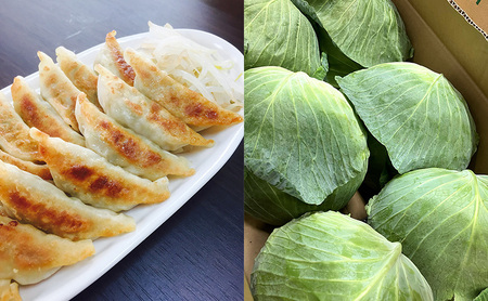 花餃子(22個入×2袋)と梅しそ餃子(22個入×2袋)のセット  惣菜 冷凍餃子 中華 夕飯 夜ごはん おかず 食べ比べ おつまみ ビールのおつまみ 
