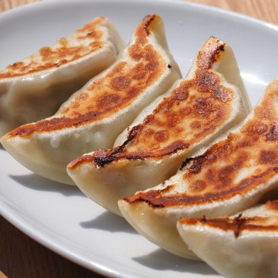富山名物ミッちゃん餃子　自家製冷凍餃子12個入り4パック【配送不可地域：離島】